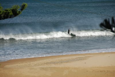 DSC_5779.JPG