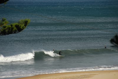DSC_5780.JPG