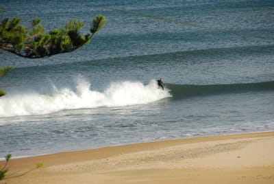 DSC_5783.JPG