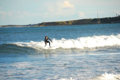 DSC_5808.JPG