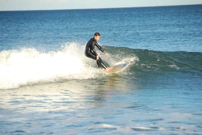 DSC_5810.JPG