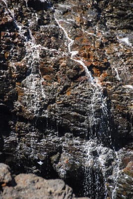 DSC_5709.JPG