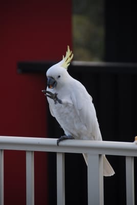 DSC_5724.JPG