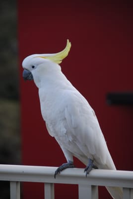 DSC_5726.JPG