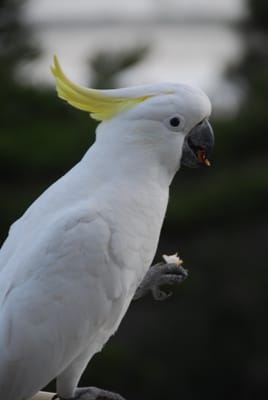 DSC_5731.JPG