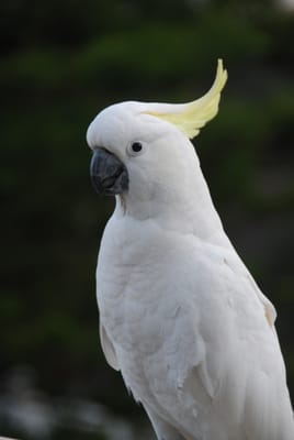 DSC_5732.JPG