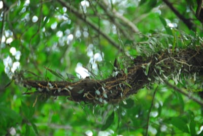 DSC_5772.JPG