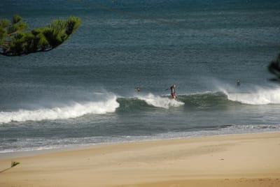 DSC_5781.JPG