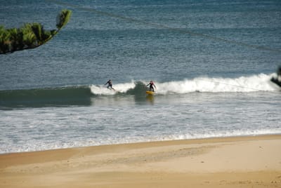 DSC_5784.JPG