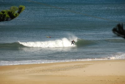 DSC_5785.JPG