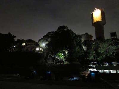 IMG_1492.jpg