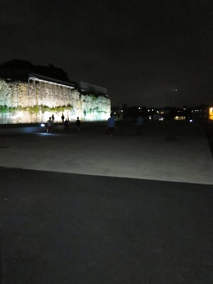 IMG_1513.jpg