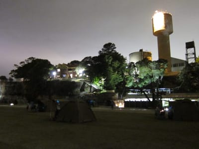 IMG_1530.jpg