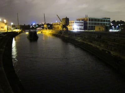 IMG_1546.jpg