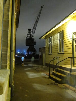 IMG_1557.jpg