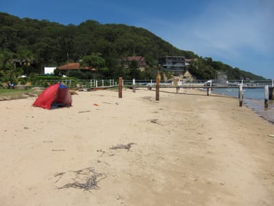 IMG_1331.jpg