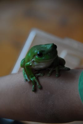 DSC_6810.JPG