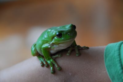 DSC_6811.JPG