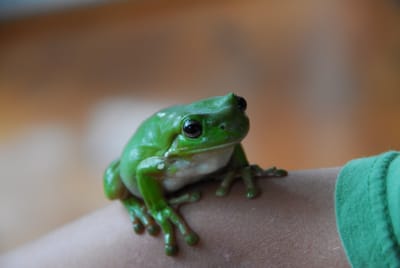 DSC_6812.JPG