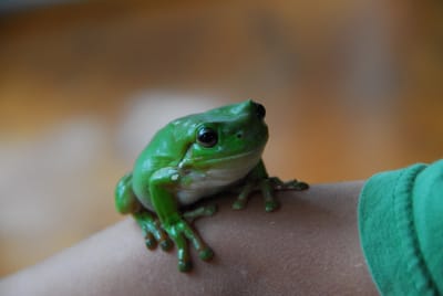DSC_6813.JPG