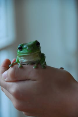 DSC_6814.JPG