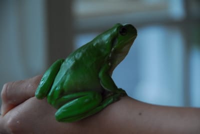 DSC_6815.JPG
