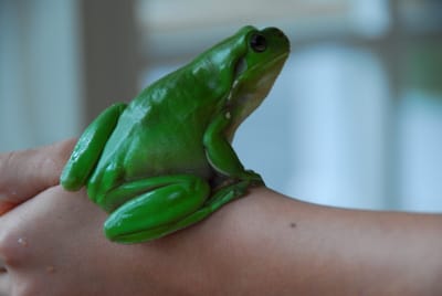 DSC_6816.JPG