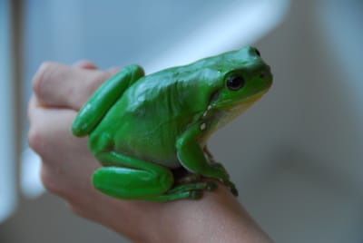 DSC_6817.JPG