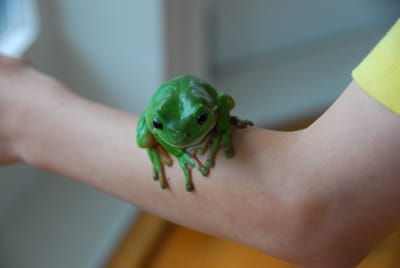 DSC_6819.JPG