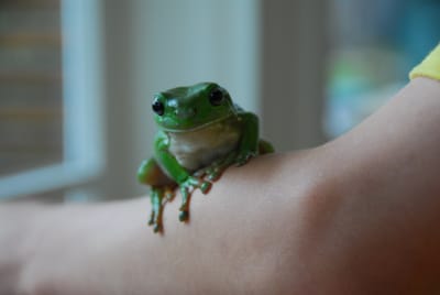 DSC_6820.JPG
