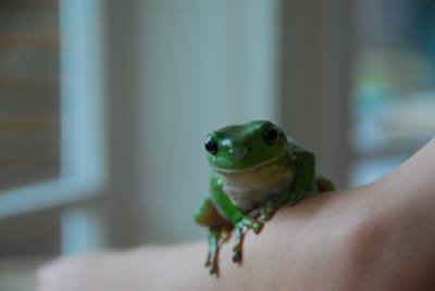 DSC_6821.JPG