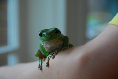 DSC_6822.JPG