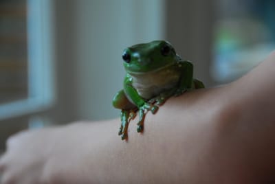 DSC_6823.JPG