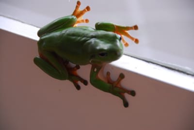 DSC_6827.JPG