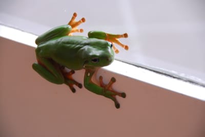 DSC_6828.JPG