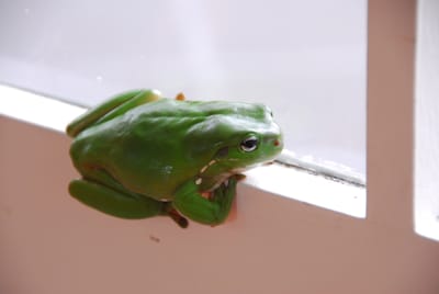 DSC_6829.JPG