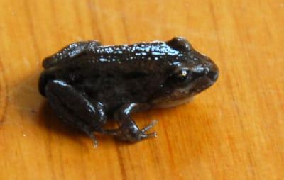 DSC_6836.JPG