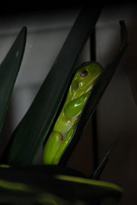 DSC_6883.JPG