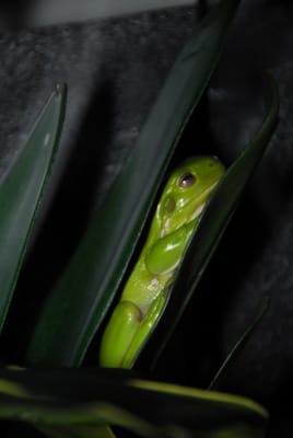 DSC_6884.JPG