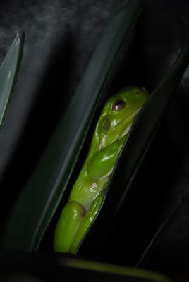 DSC_6885.JPG