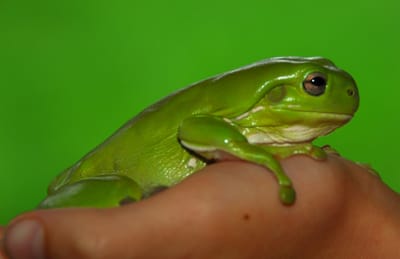 DSC_6886.JPG