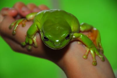 DSC_6887.JPG