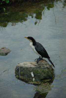 DSC_6780.JPG
