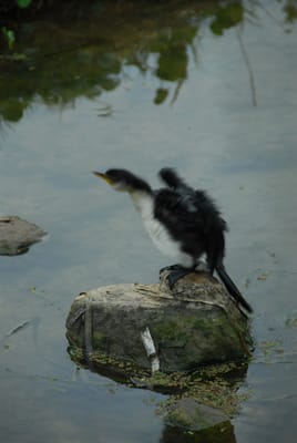 DSC_6781.JPG