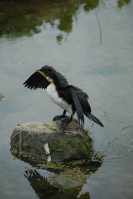 DSC_6783.JPG