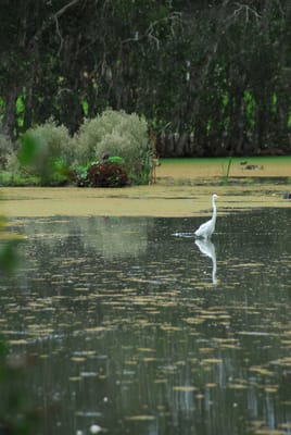 DSC_6790.JPG