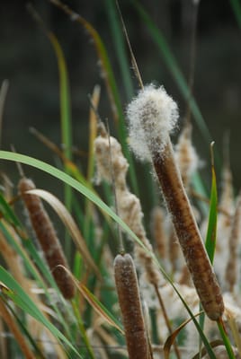 DSC_6792.JPG