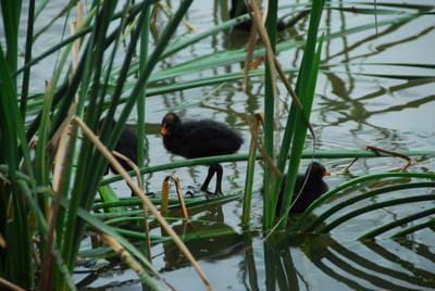 DSC_6793.JPG
