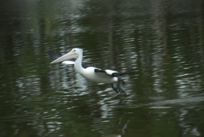 DSC_6795.JPG