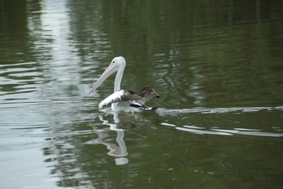 DSC_6797.JPG